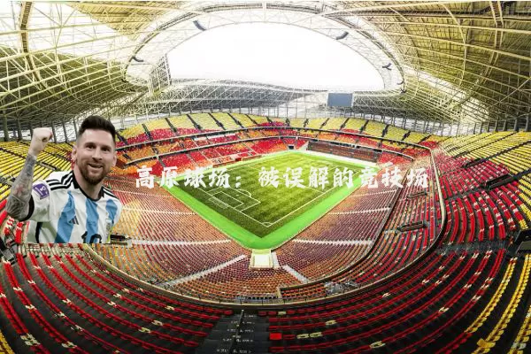 高原球场:被误解的竞技场
